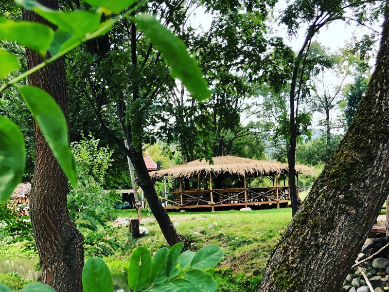 Harmony and relaxation: a day of yoga in the heart of the Apuseni Mountains