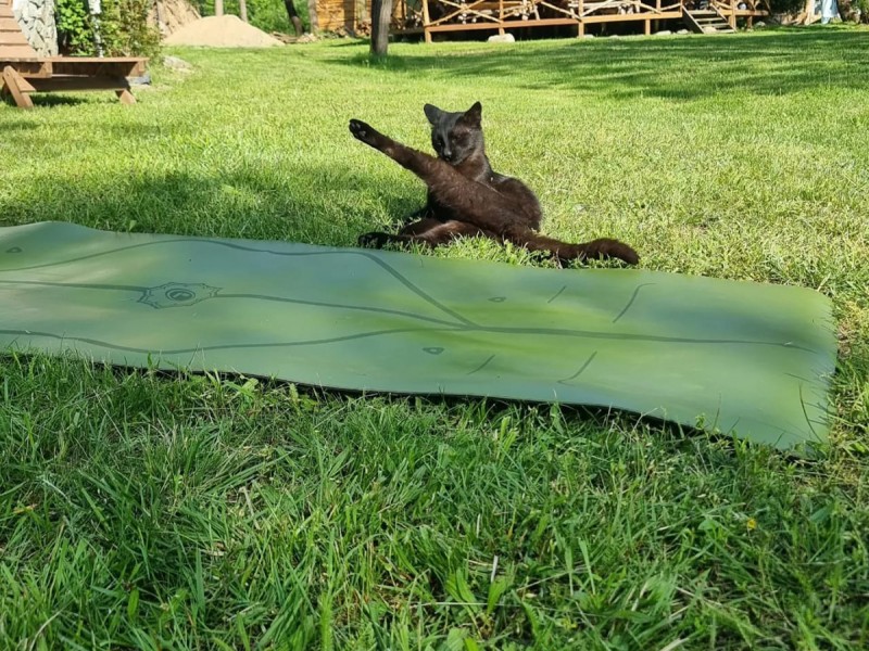 Harmony and relaxation: a day of yoga in the heart of the Apuseni Mountains