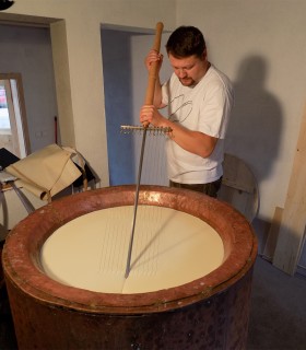 Productie de branzeturi: atelier pentru 10 persoane, in Mures