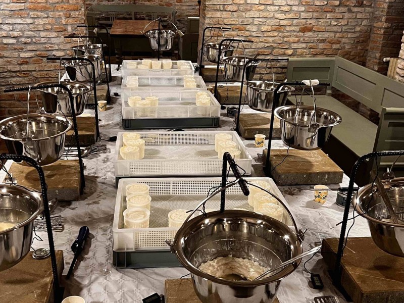 Learn how to make cheese in Mures - experience for groups