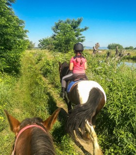 Pony ride in Brasov - an unforgettable adventure for children