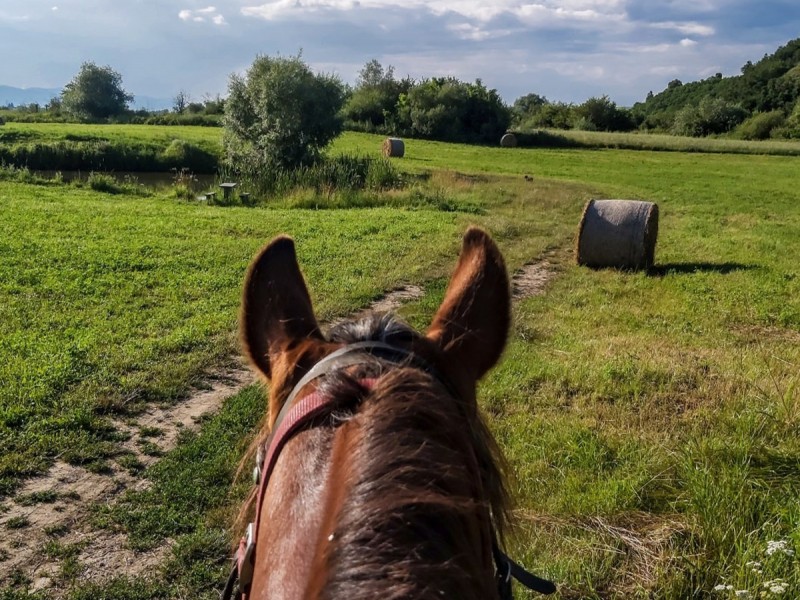Experienta ecvestra: plimbare pe cal de-a lungul raului Olt