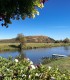 Equestrian experience: horse riding along the Olt river