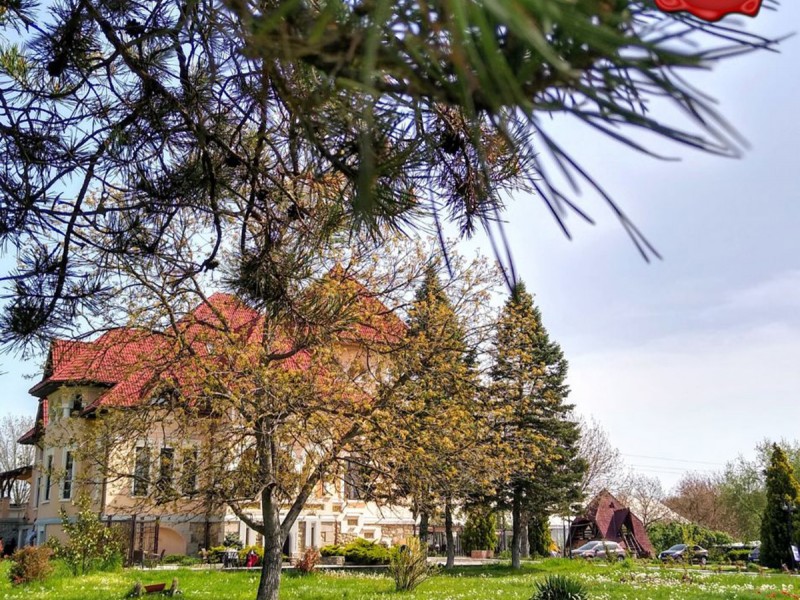 Gifts for couples: City break Targu Jiu - Manor house, for two people