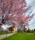 City break Targu Jiu - cazare in conac boieresc, pentru doua persoane