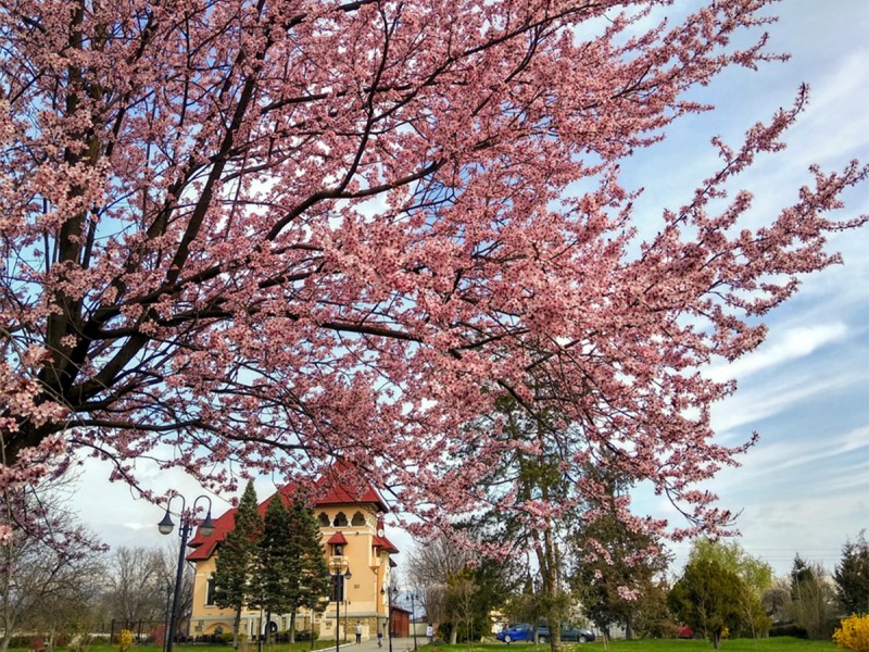 City break Targu Jiu - cazare in conac boieresc, pentru doua persoane