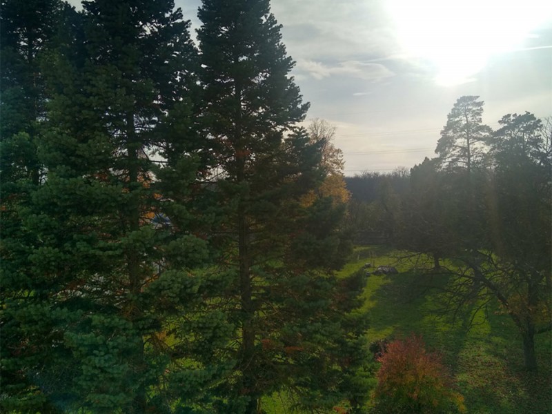 City break Targu Jiu - cazare in conac boieresc, pentru doua persoane