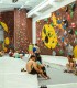 Sport and fun - Climbing for adults and children in Bucharest
