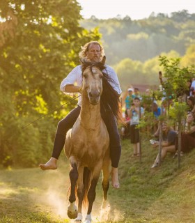 Riding lesson for adults or children in Comana Park
