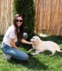 60 de minute de joaca, alaturi de catei din rasa Golden Retriever, langa Bucuresti