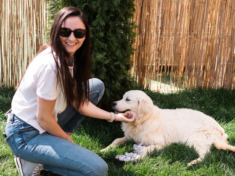 60 de minute de joaca, alaturi de catei din rasa Golden Retriever, langa Bucuresti
