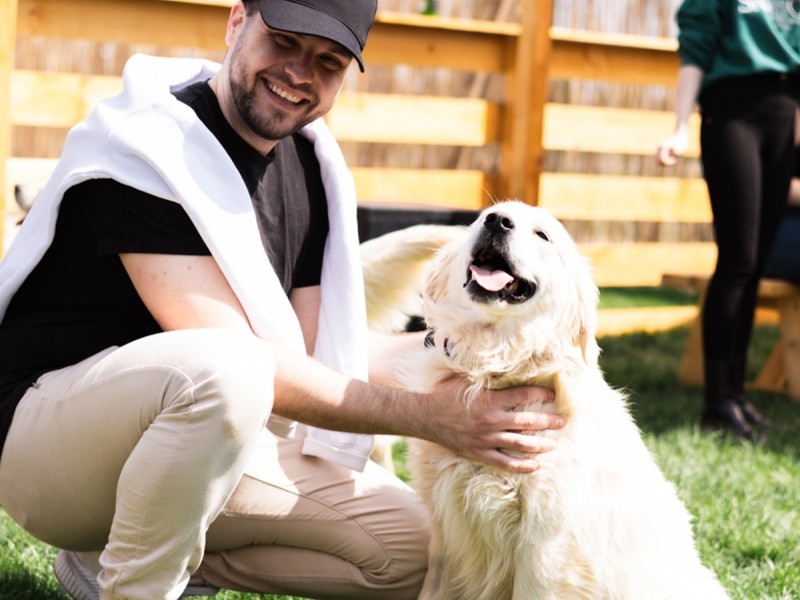 60 de minute de joaca, alaturi de catei din rasa Golden Retriever, langa Bucuresti