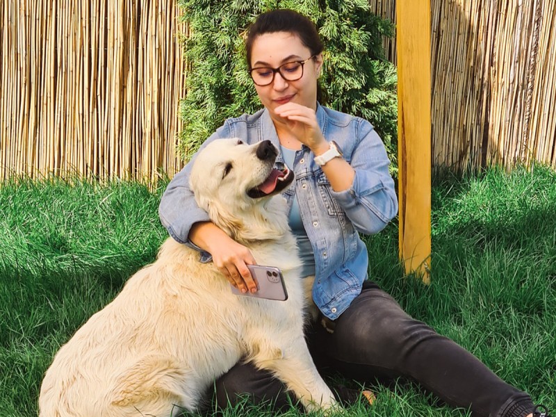 60 de minute de joaca, alaturi de catei din rasa Golden Retriever, langa Bucuresti