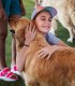 60 de minute de joaca, alaturi de catei din rasa Golden Retriever, langa Bucuresti