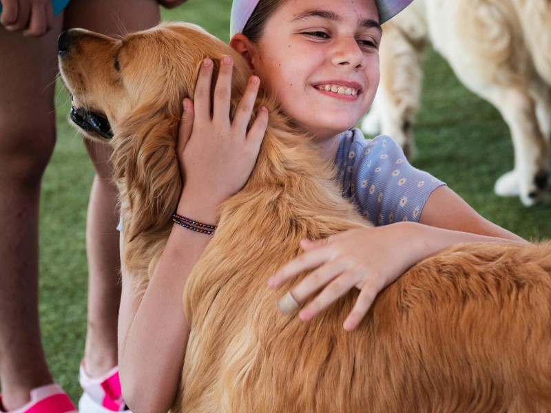 60 de minute de joaca, alaturi de catei din rasa Golden Retriever, langa Bucuresti