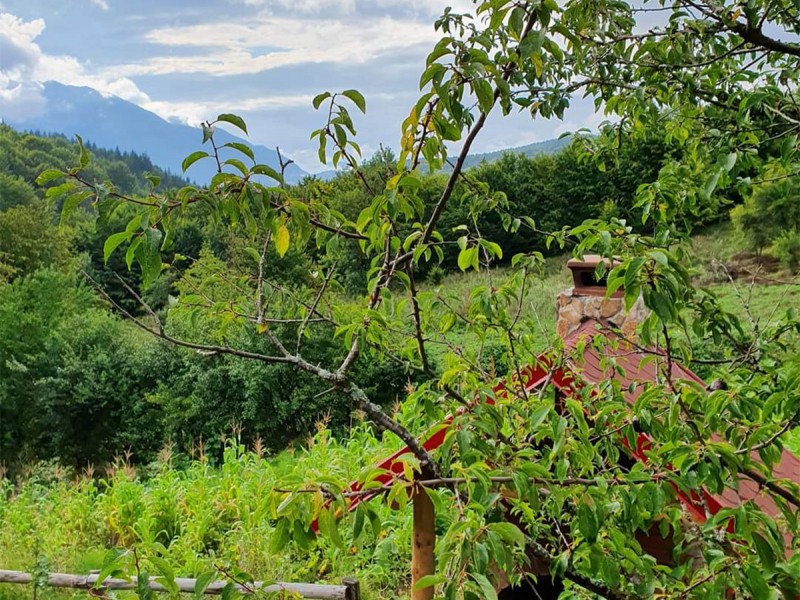 Unique vacation of 2 nights at Casuta din Poiana, in Valcea