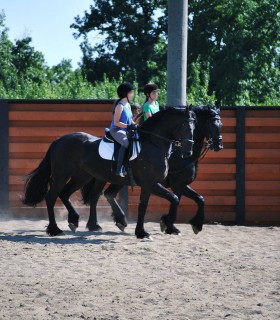 Horseback riding for 2 people - a 45 minutes session near Pitesti