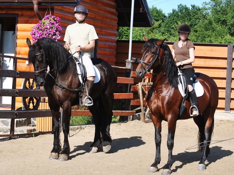 Horse riding for parents and painting workshop for children near Pitesti