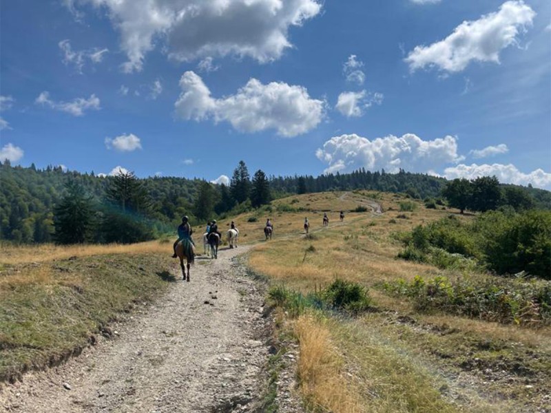 Descopera frumusetea naturii: traseu cu ATV, plimbari pe cal, in Arges