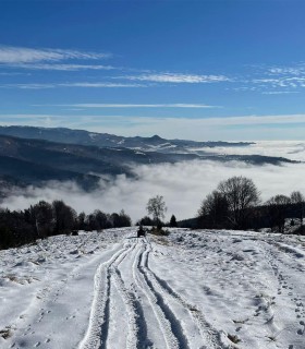Discover the beauty of nature: ATV trail, horse riding in Arges