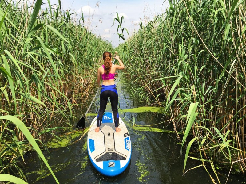 Stand up paddle - vasleste pe placa de surf in delta Neajlovului