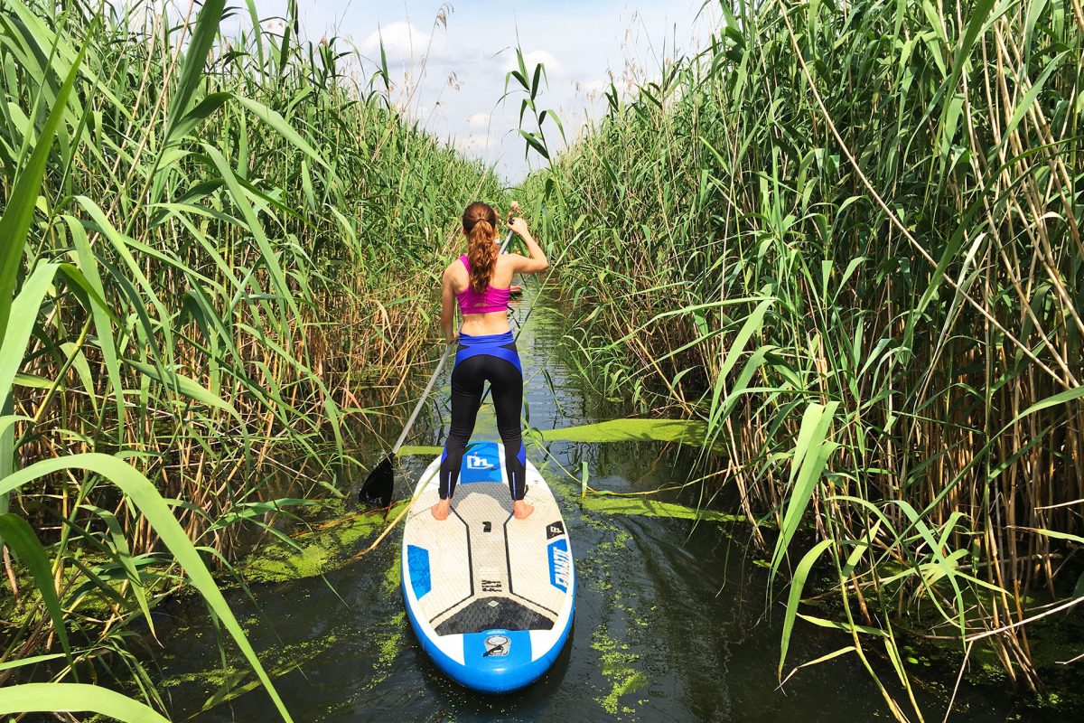 Stand up paddle – vasleste pe placa de surf in delta Neajlovului