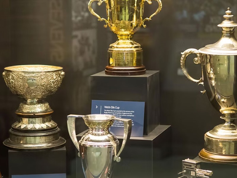 Allianz Stadium tour and visit to the Rugby Museum for 2 people in London