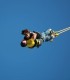 Bungee Jumping in tandem, in 8 locatii la alegere, din UK