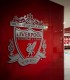 LFC Stadium Tour and Q&A with Liverpool FC legend, in Merseyside