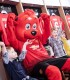 Manchester United stadium tour for a child and an adult