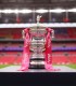 Wembley Stadium tour for 1 child and 1 adult