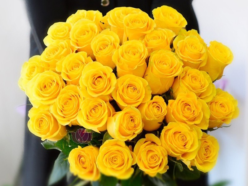 We deliver joy and love with a bouquet of roses, in Bucharest
