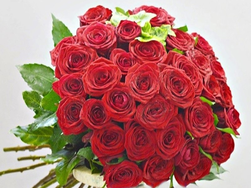 We deliver joy and love with a bouquet of roses, in Bucharest
