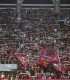 Player Escort - intra pe teren alaturi de jucatorii echipei Rapid, pe stadionul Giulesti