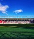 Player Escort - intra pe teren alaturi de jucatorii echipei Rapid, pe stadionul Giulesti