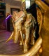 Phuket Heaven Massage in Timisoara