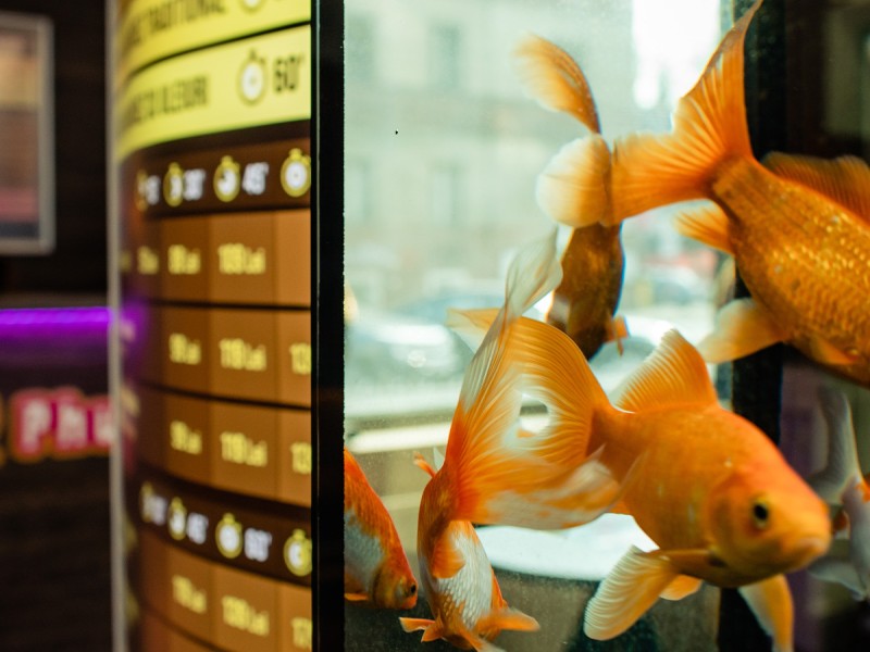 Masaj pentru copii intre 8-12 ani, in Timisoara
