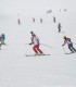 Ski lesson with family or friends