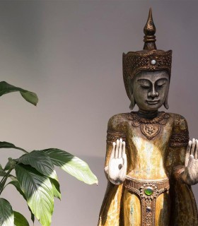 WELL BEING Ritual in Bucharest - therapeutic massage and reflexotherapy