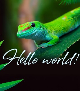 Discover the fascinating world of reptiles - museum entrance in Bucharest