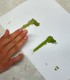 Magia Matcha - Workshop de initiere, pentru cupluri, in Bucuresti