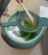 Magia Matcha - Workshop de initiere, pentru cupluri, in Bucuresti
