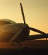 One-hour flight to Sinaia for one person