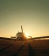 One-hour flight to Sinaia for one person