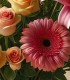 Dragostea nu are granite - Trimite un buchet de crini si trandafiri oriunde in lume
