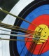 Hunting with eagles and archery training course - unleash the hunter within you