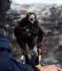 Hunting with eagles and archery training course - unleash the hunter within you