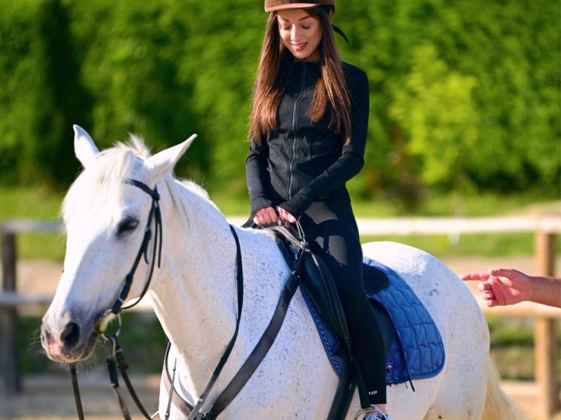 First steps in the equestrian world: Initiation lesson for children and adults in Iasi
