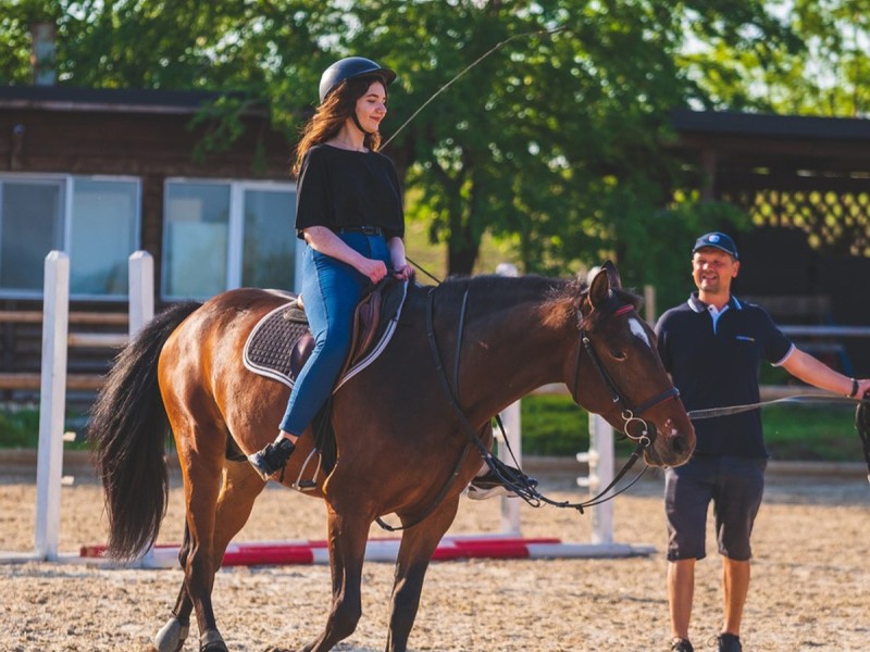 First steps in the equestrian world: Initiation lesson for children and adults in Iasi
