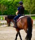 First steps in the equestrian world: Initiation lesson for children and adults in Iasi
